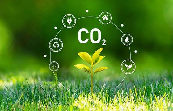 CO2-based Chemicals