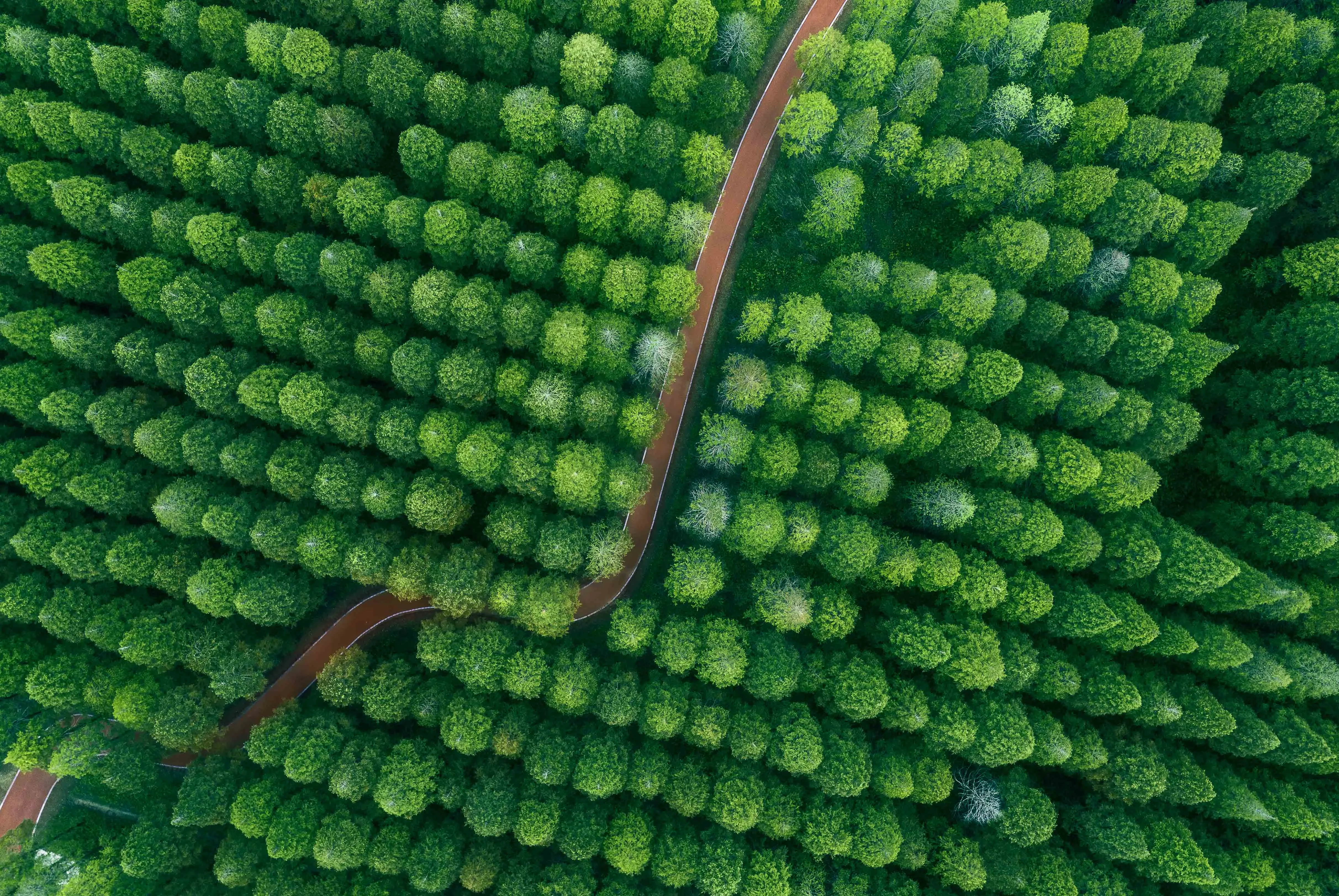 Building a Zero-Carbon Future Together | DODGEN Officially Joins the China ESG Alliance